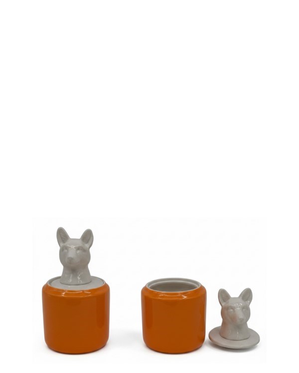 CANISTERS